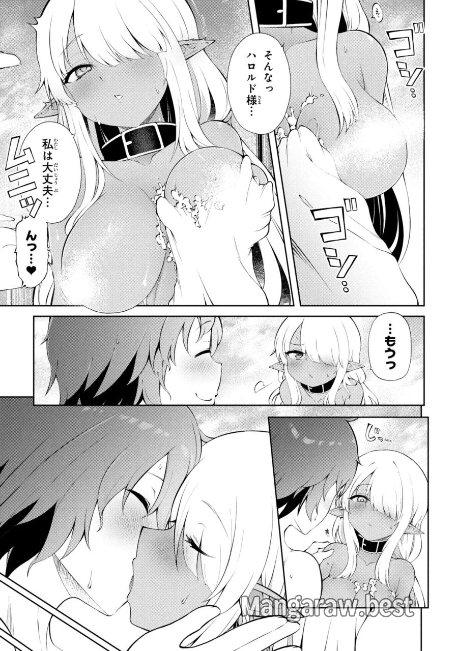 家が燃えて人生どうでも良くなったから、残ったなけなしの金でダークエルフの奴隷を買った。 第28.1話 - Page 11