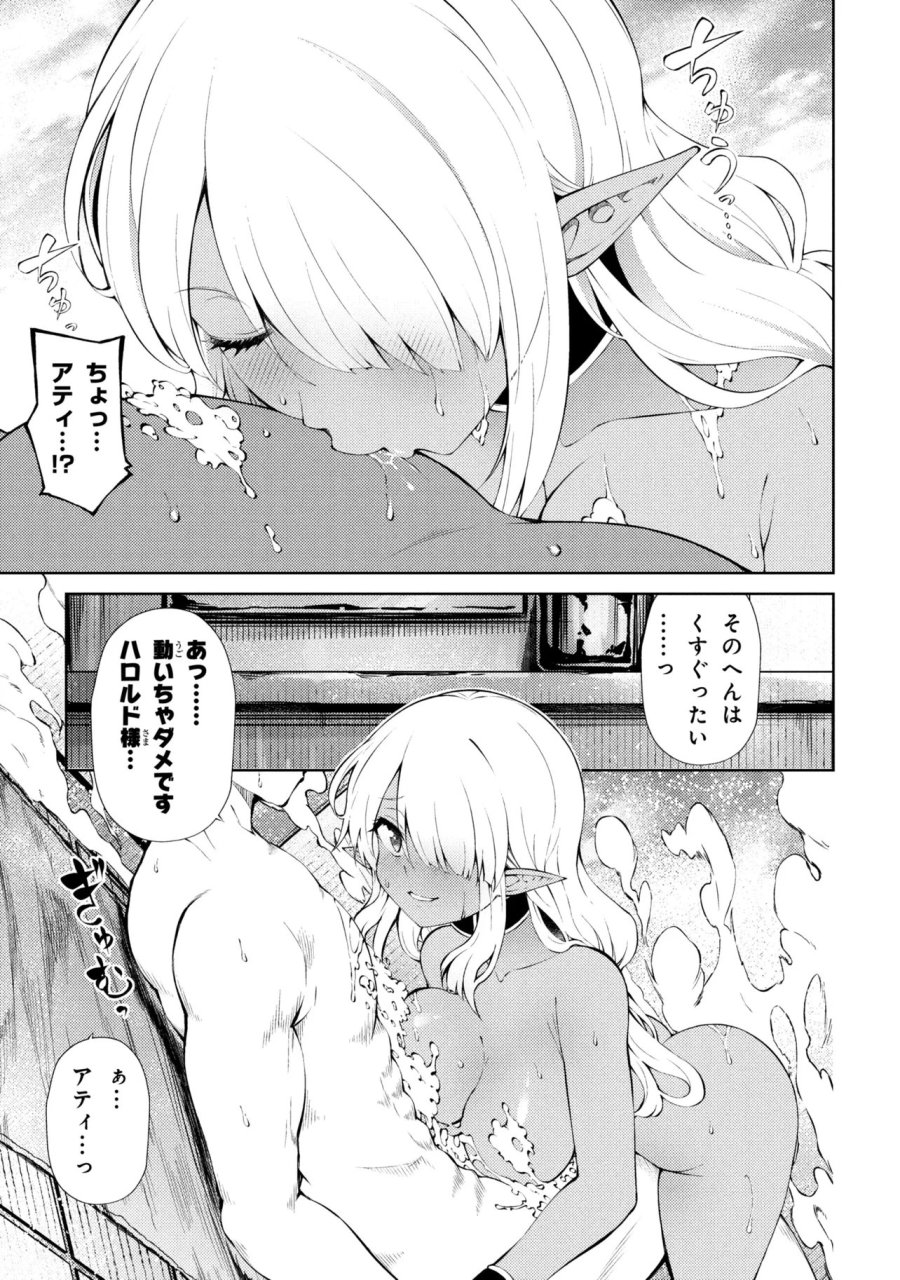 家が燃えて人生どうでも良くなったから、残ったなけなしの金でダークエルフの奴隷を買った。 第28.1話 - Page 13
