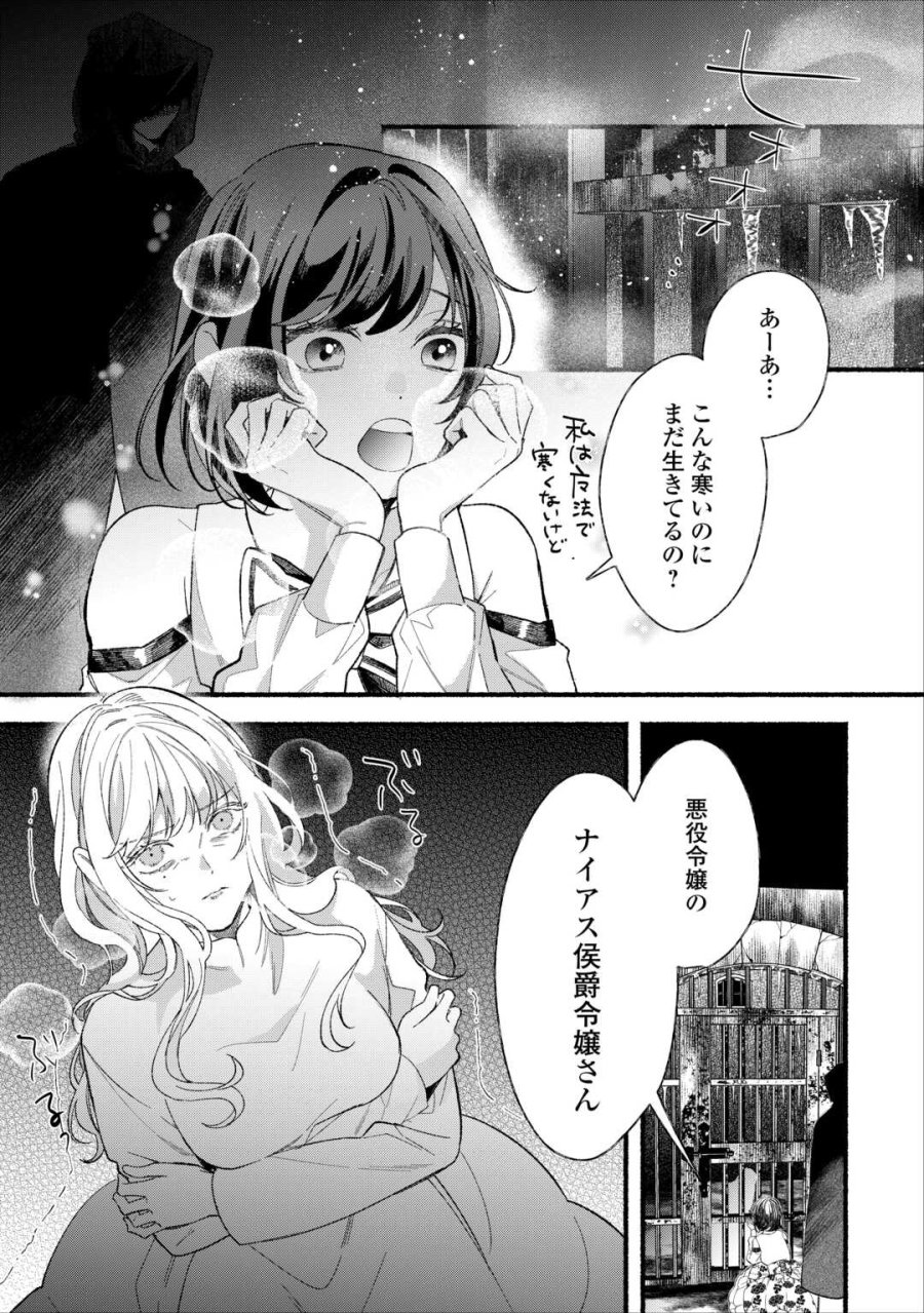 消滅した悪役令嬢 第15話 - Page 33
