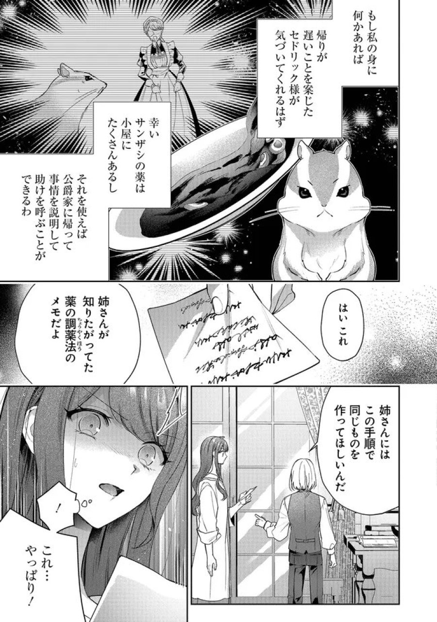 リスになってしまった婚約者が、毛嫌いしていたはずの私に助けを求めてきました。 第12.1話 - Page 9