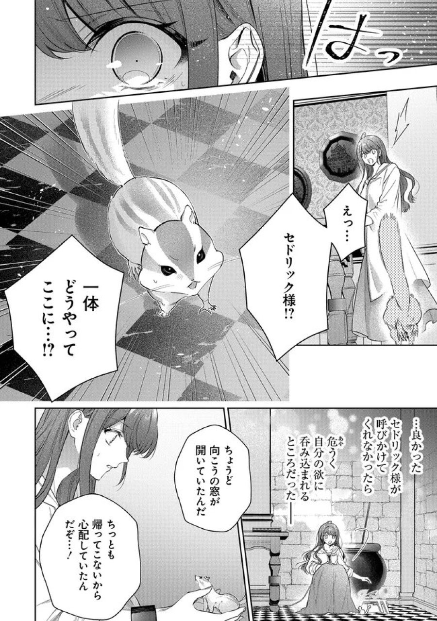 リスになってしまった婚約者が、毛嫌いしていたはずの私に助けを求めてきました。 第12.2話 - Page 10