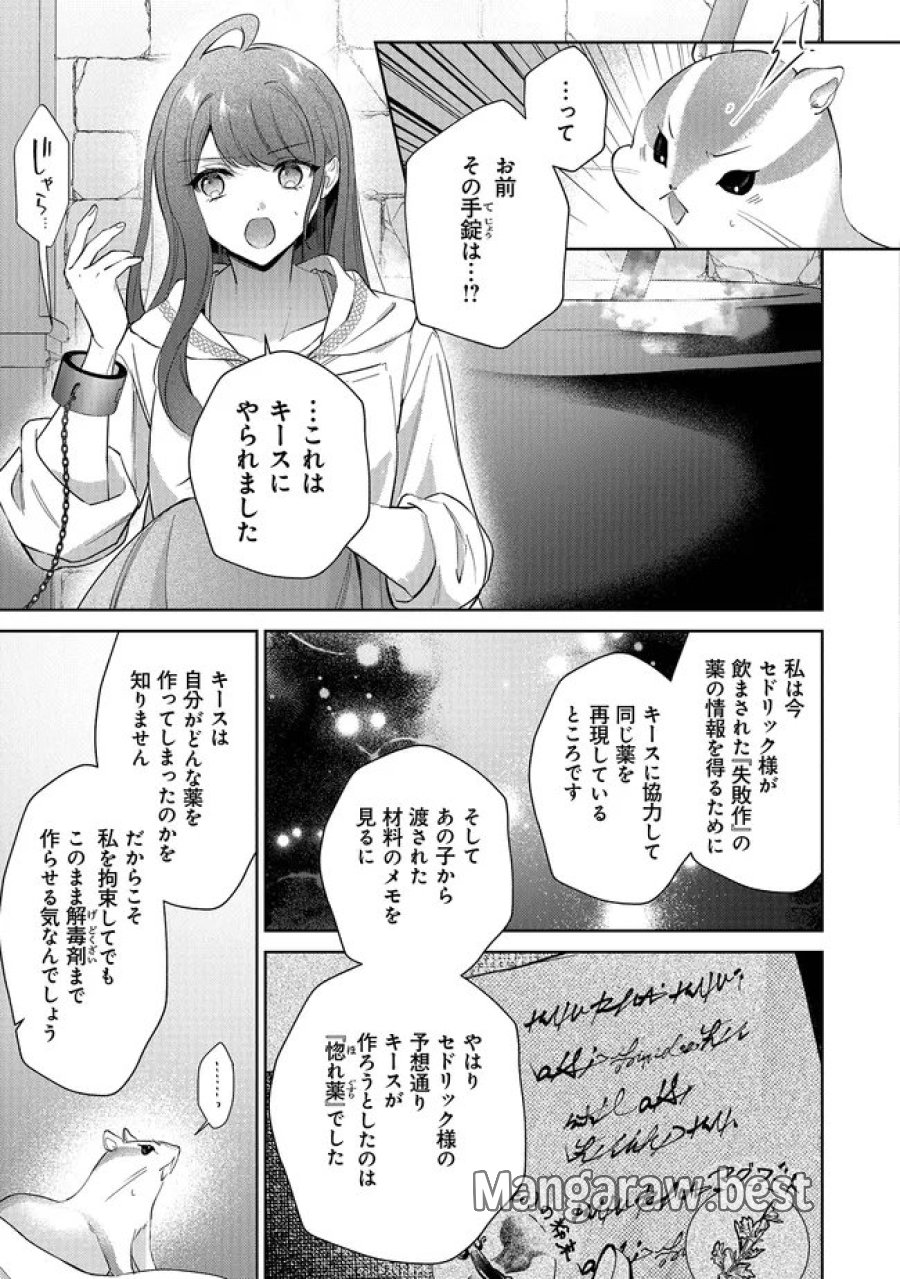 リスになってしまった婚約者が、毛嫌いしていたはずの私に助けを求めてきました。 第12.2話 - Page 11