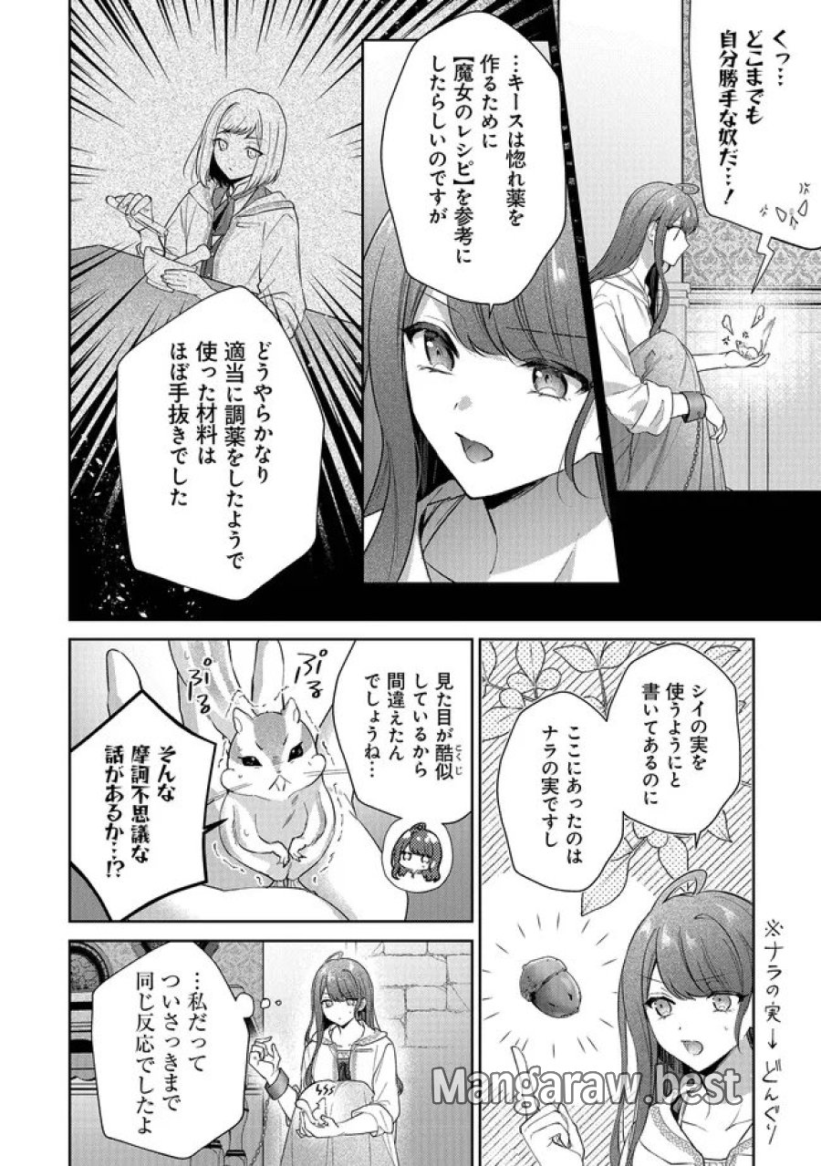 リスになってしまった婚約者が、毛嫌いしていたはずの私に助けを求めてきました。 第12.2話 - Page 12