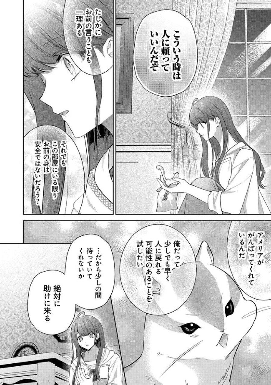 リスになってしまった婚約者が、毛嫌いしていたはずの私に助けを求めてきました。 第12.2話 - Page 16