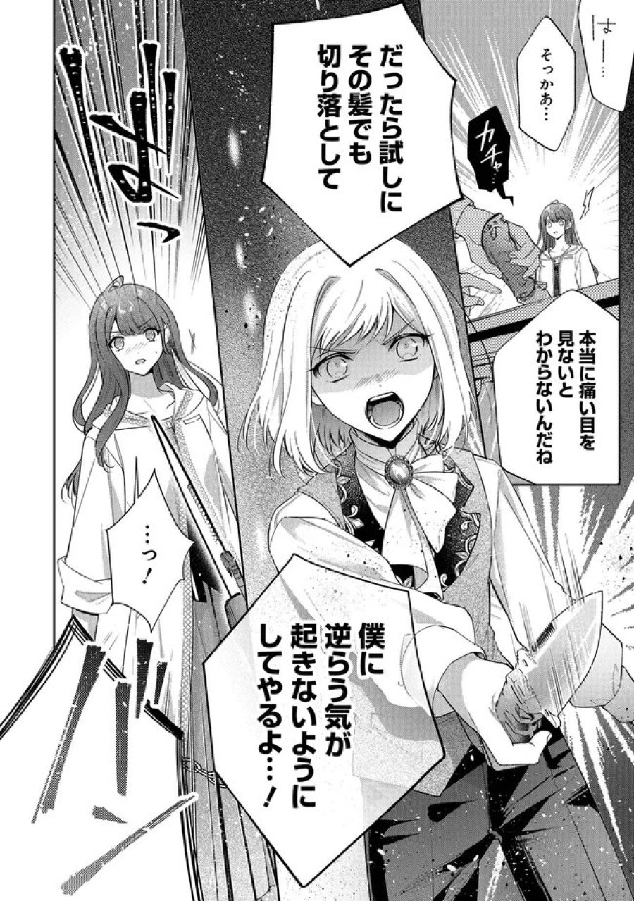 リスになってしまった婚約者が、毛嫌いしていたはずの私に助けを求めてきました。 第12.2話 - Page 26