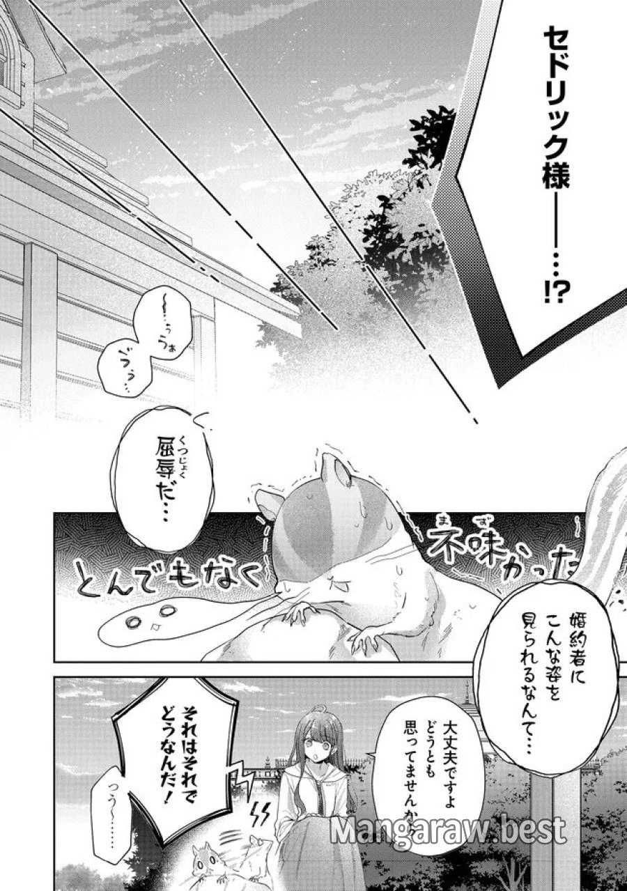 リスになってしまった婚約者が、毛嫌いしていたはずの私に助けを求めてきました。 第11.2話 - Page 11