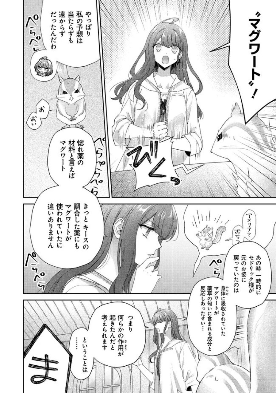 リスになってしまった婚約者が、毛嫌いしていたはずの私に助けを求めてきました。 第11.2話 - Page 3