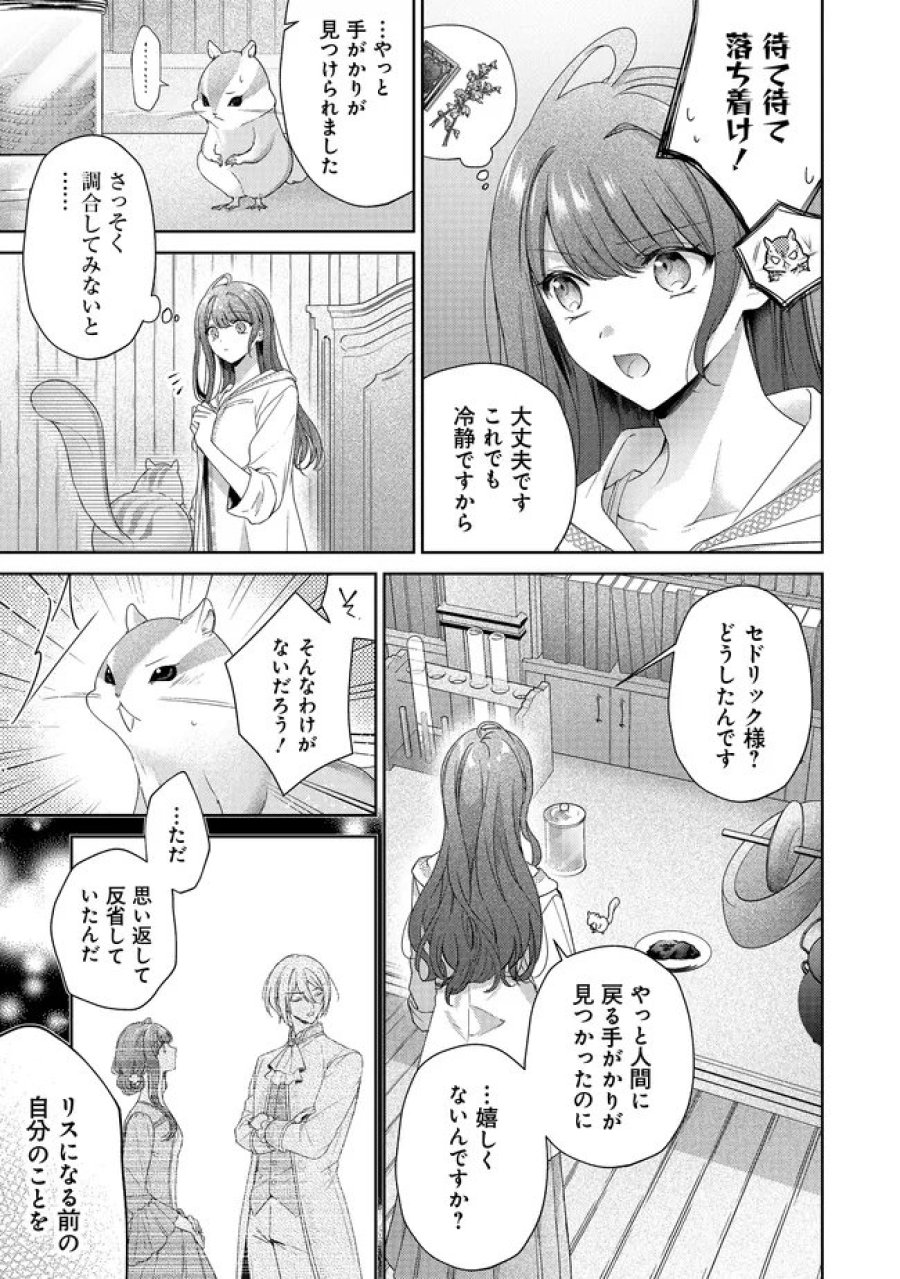 リスになってしまった婚約者が、毛嫌いしていたはずの私に助けを求めてきました。 第11.2話 - Page 4
