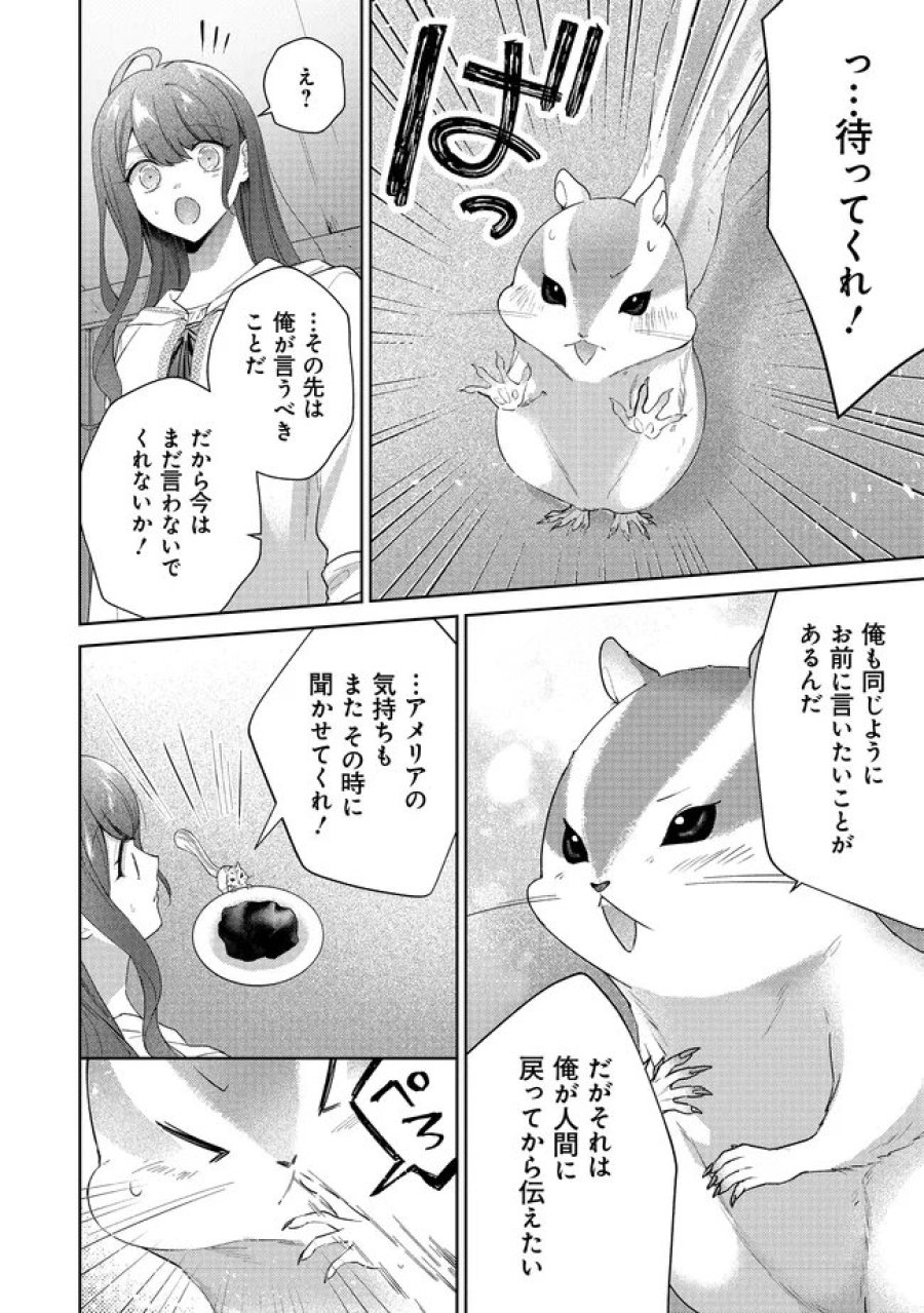 リスになってしまった婚約者が、毛嫌いしていたはずの私に助けを求めてきました。 第11.2話 - Page 9