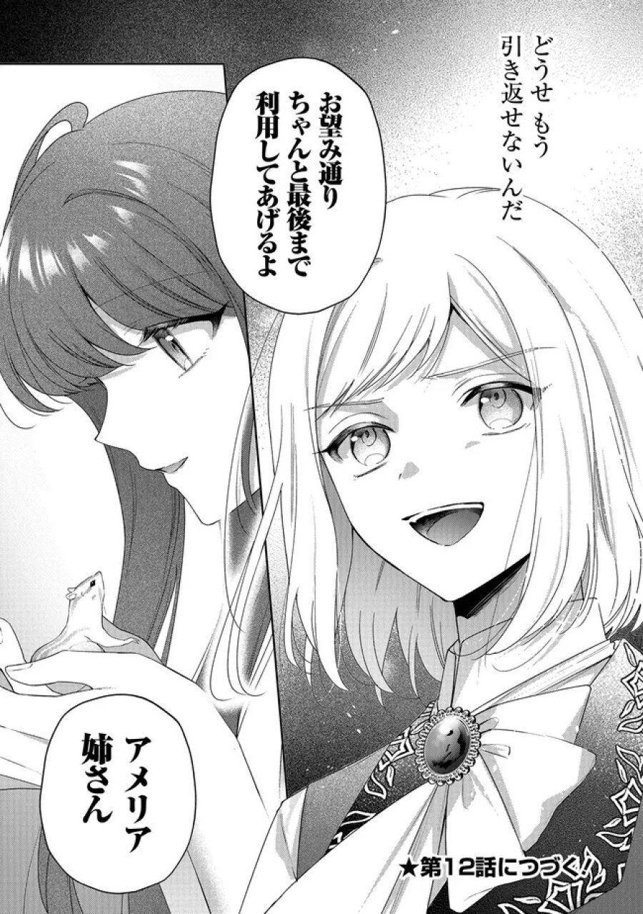 リスになってしまった婚約者が、毛嫌いしていたはずの私に助けを求めてきました。 第11.3話 - Page 12