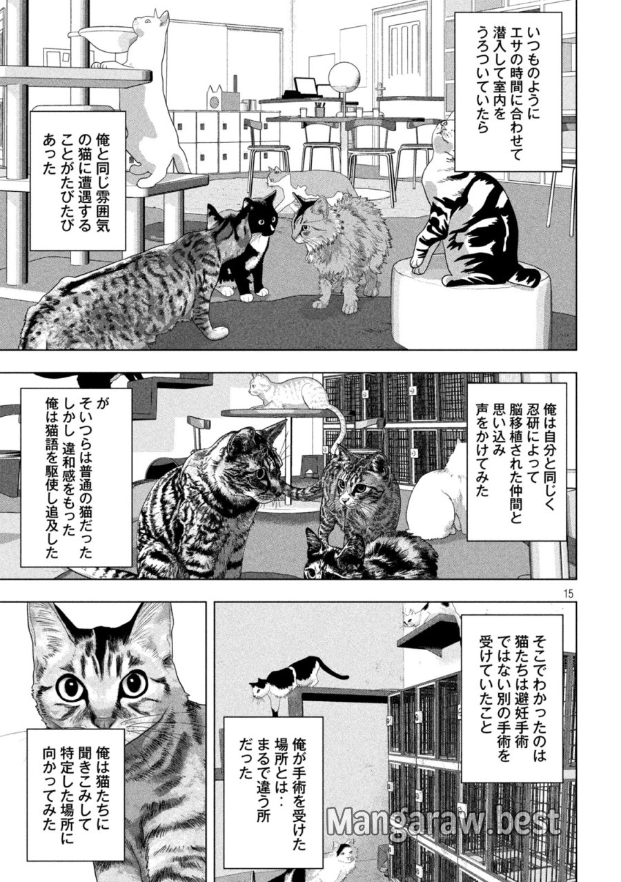 アンダーニンジャ 第162話 - Page 15