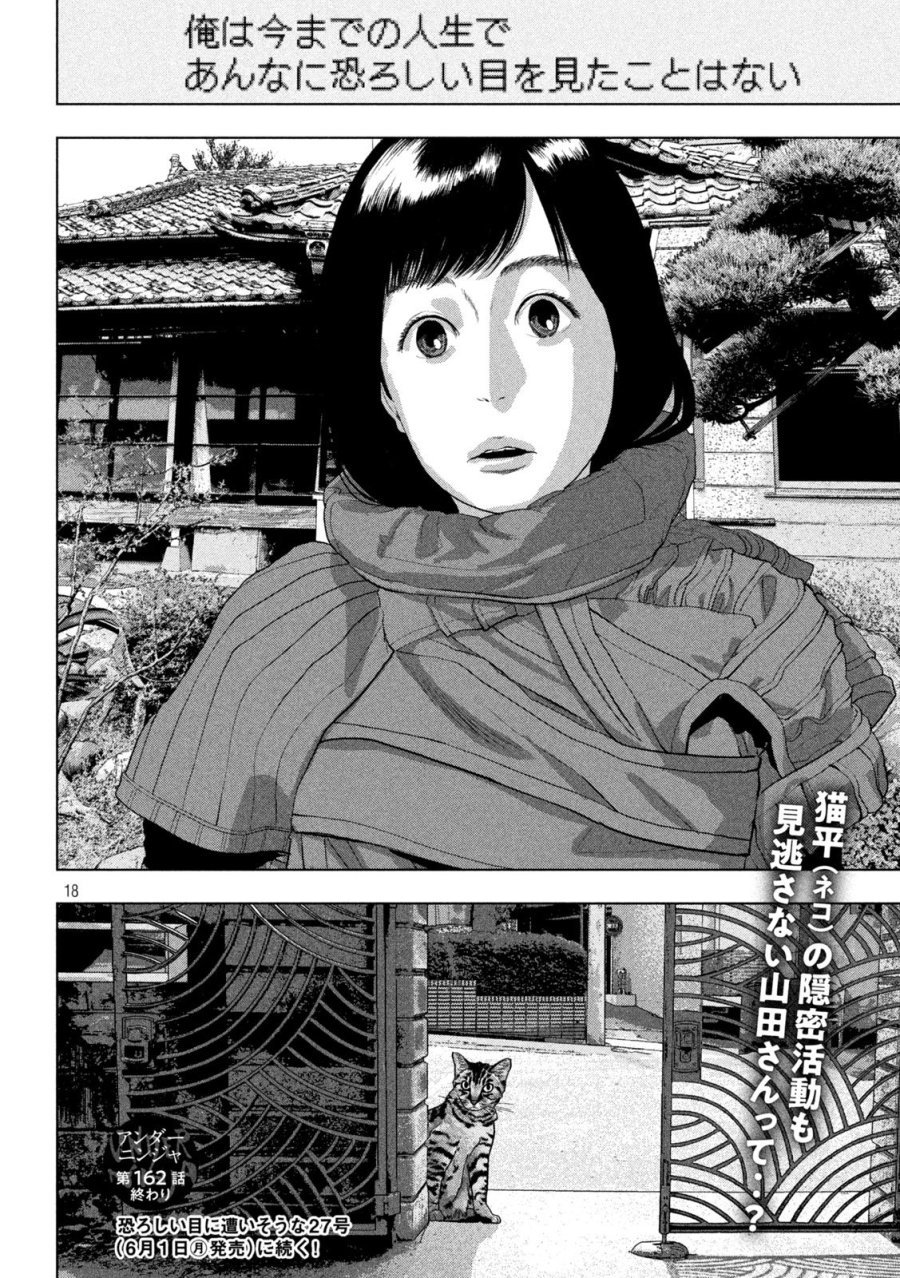 アンダーニンジャ 第162話 - Page 18