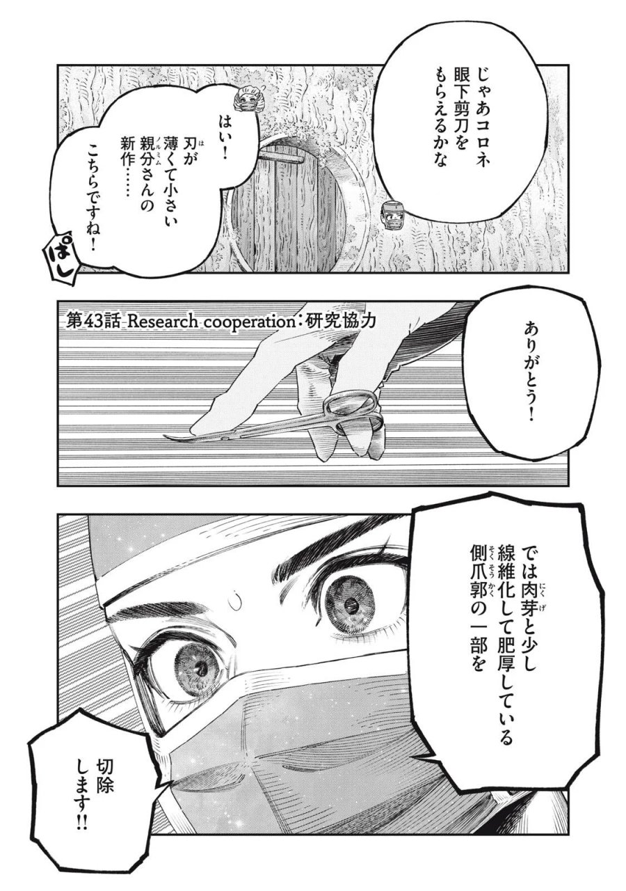 高度に発達した医学は魔法と区別がつかない 第43.1話 - Page 1