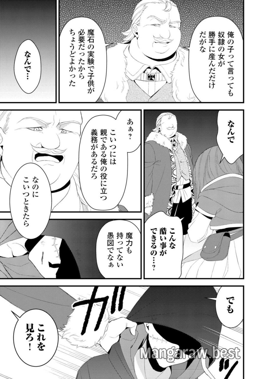 ほっといて下さい ―従魔とチートライフ楽しみたい！― 第39.5話 - Page 5