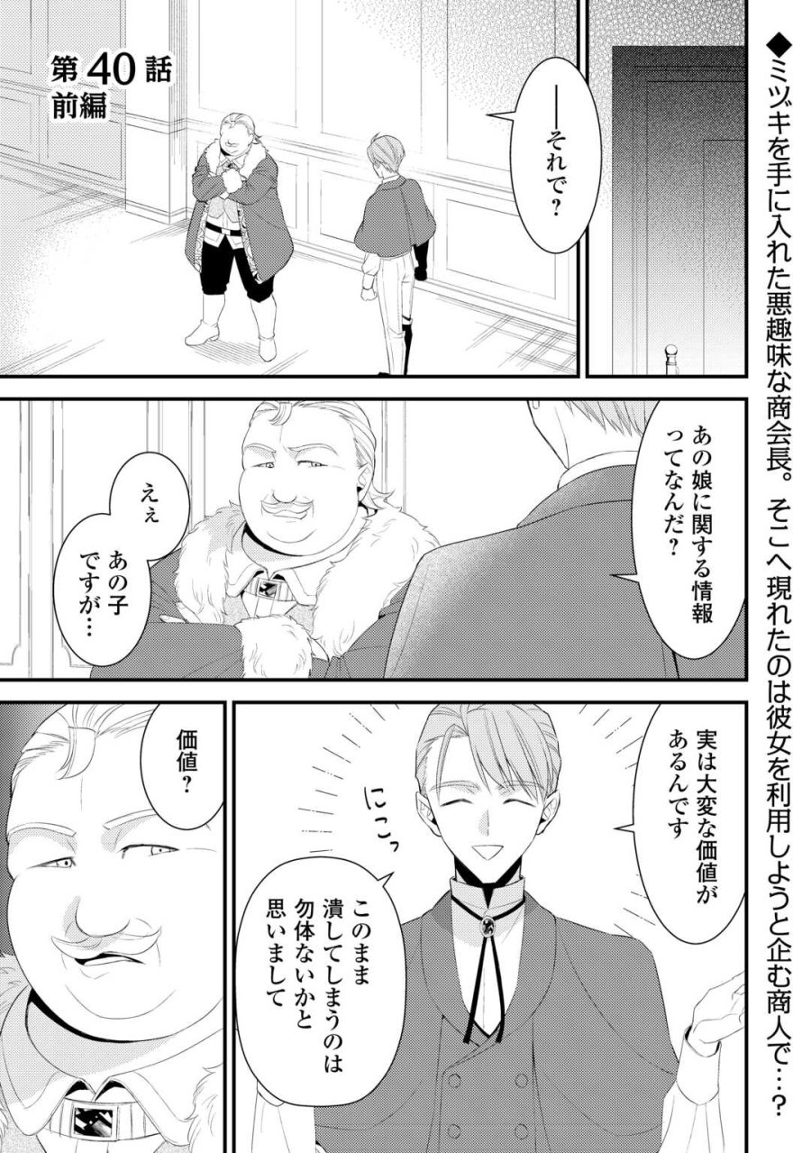 ほっといて下さい ―従魔とチートライフ楽しみたい!― 第40話 - Page 1