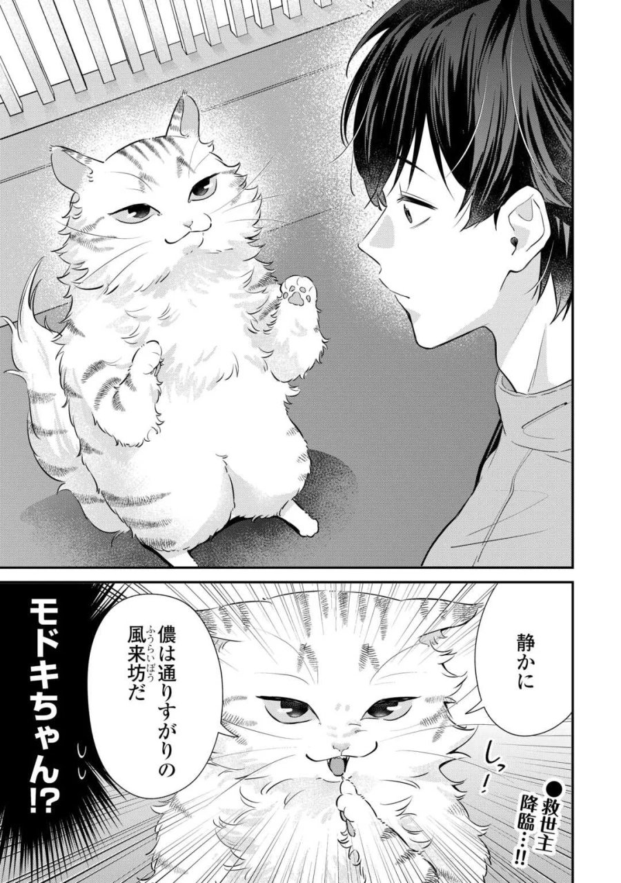 拾ったのが本当に猫かは疑わしい 第5話 - Page 17