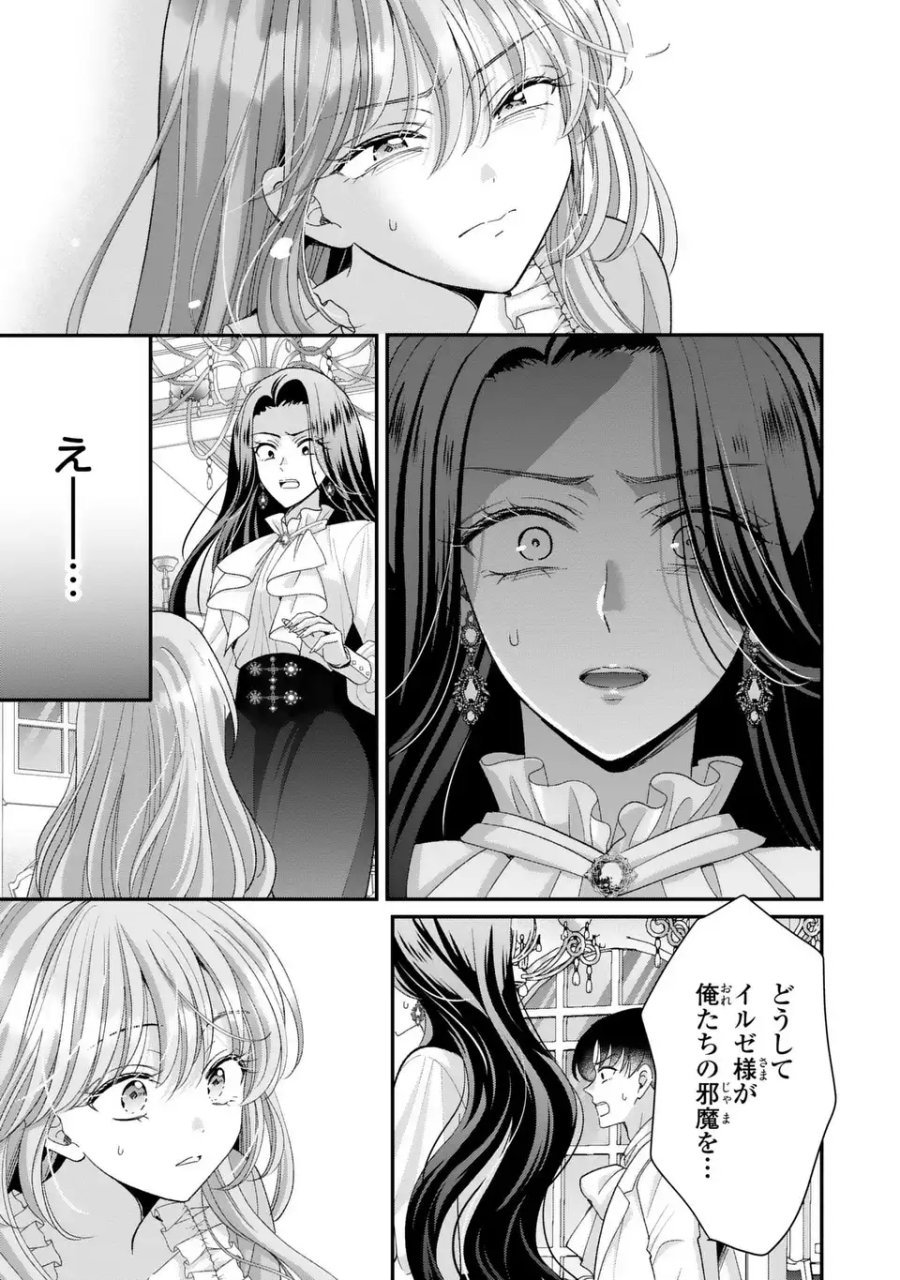 公爵様、悪妻の私はもう放っておいてください 第16話 - Page 17