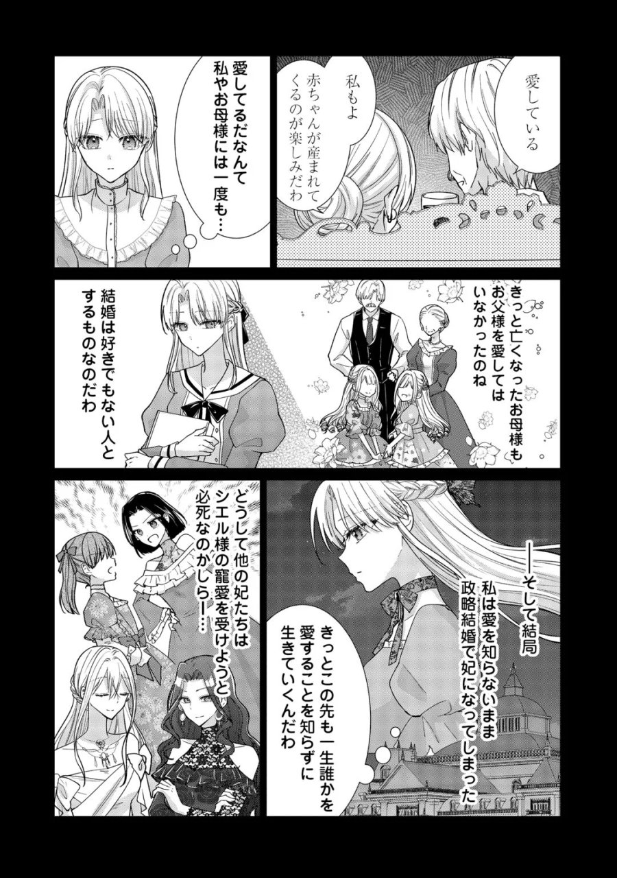 お飾りの側妃ですね?わかりました。どうぞ私のことは放っといてください! 第8話 - Page 2