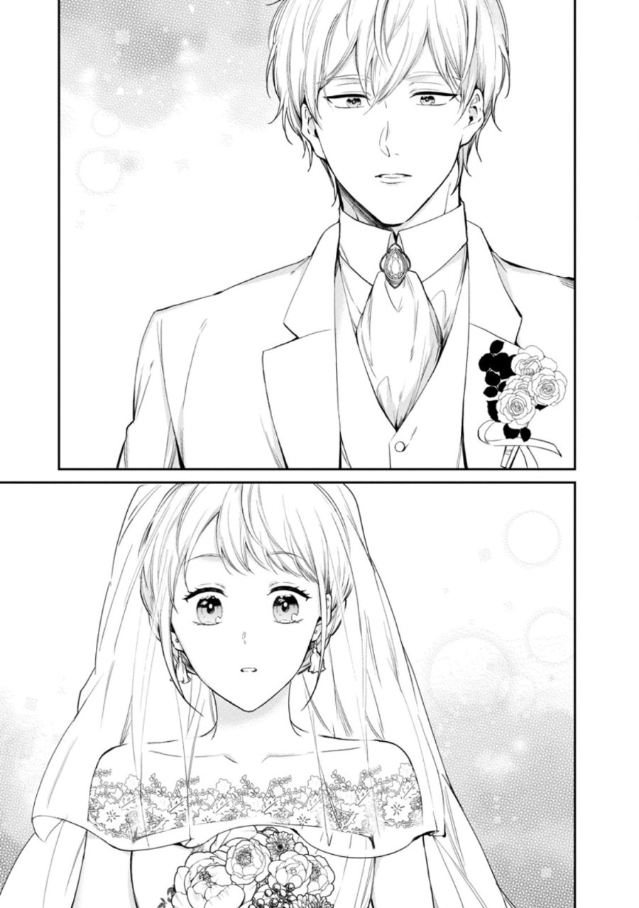 婚約破棄されたのでお掃除メイドになったら笑わない貴公子様に溺愛されました 第26.1話 - Page 1