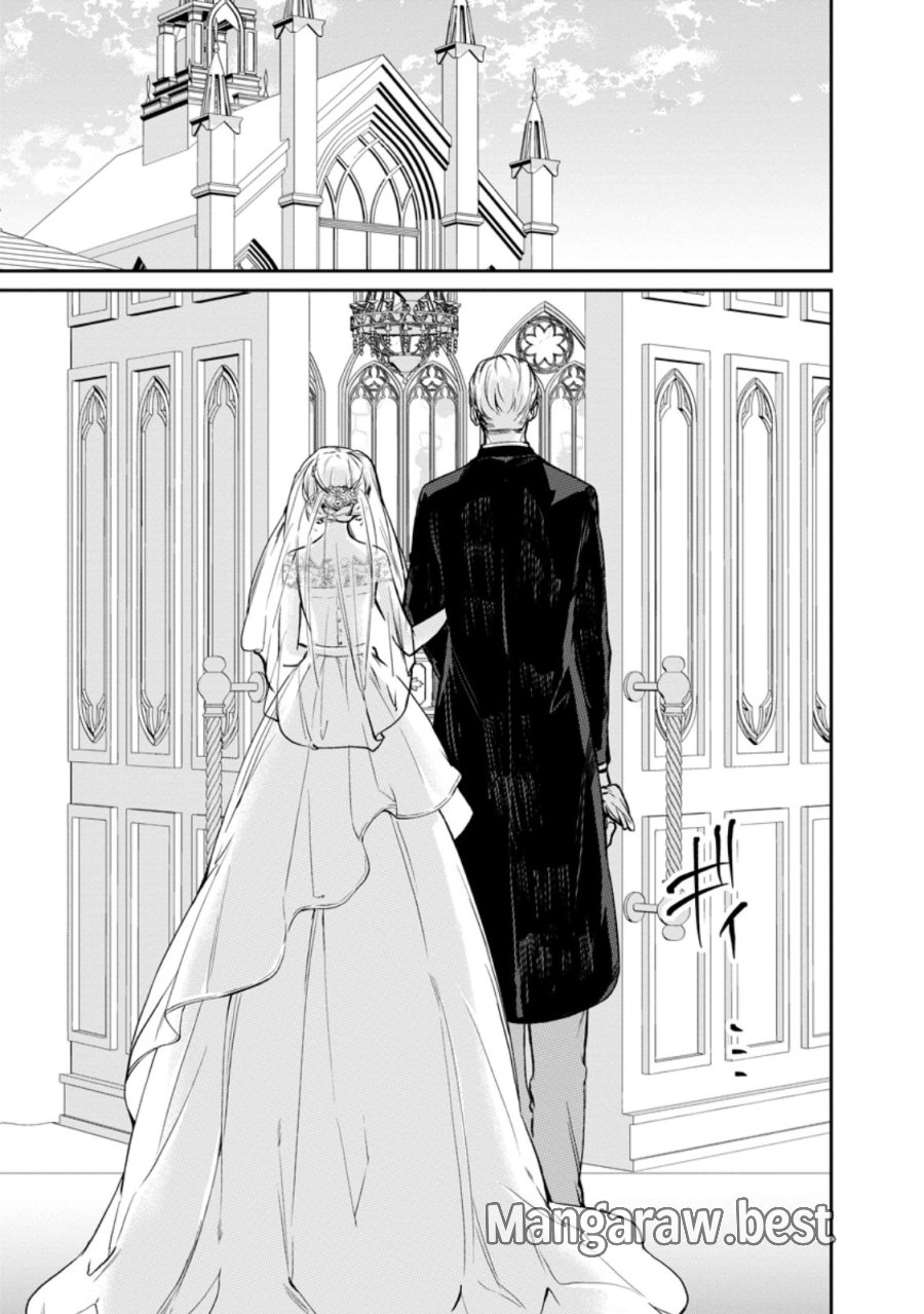 婚約破棄されたのでお掃除メイドになったら笑わない貴公子様に溺愛されました 第25.3話 - Page 6
