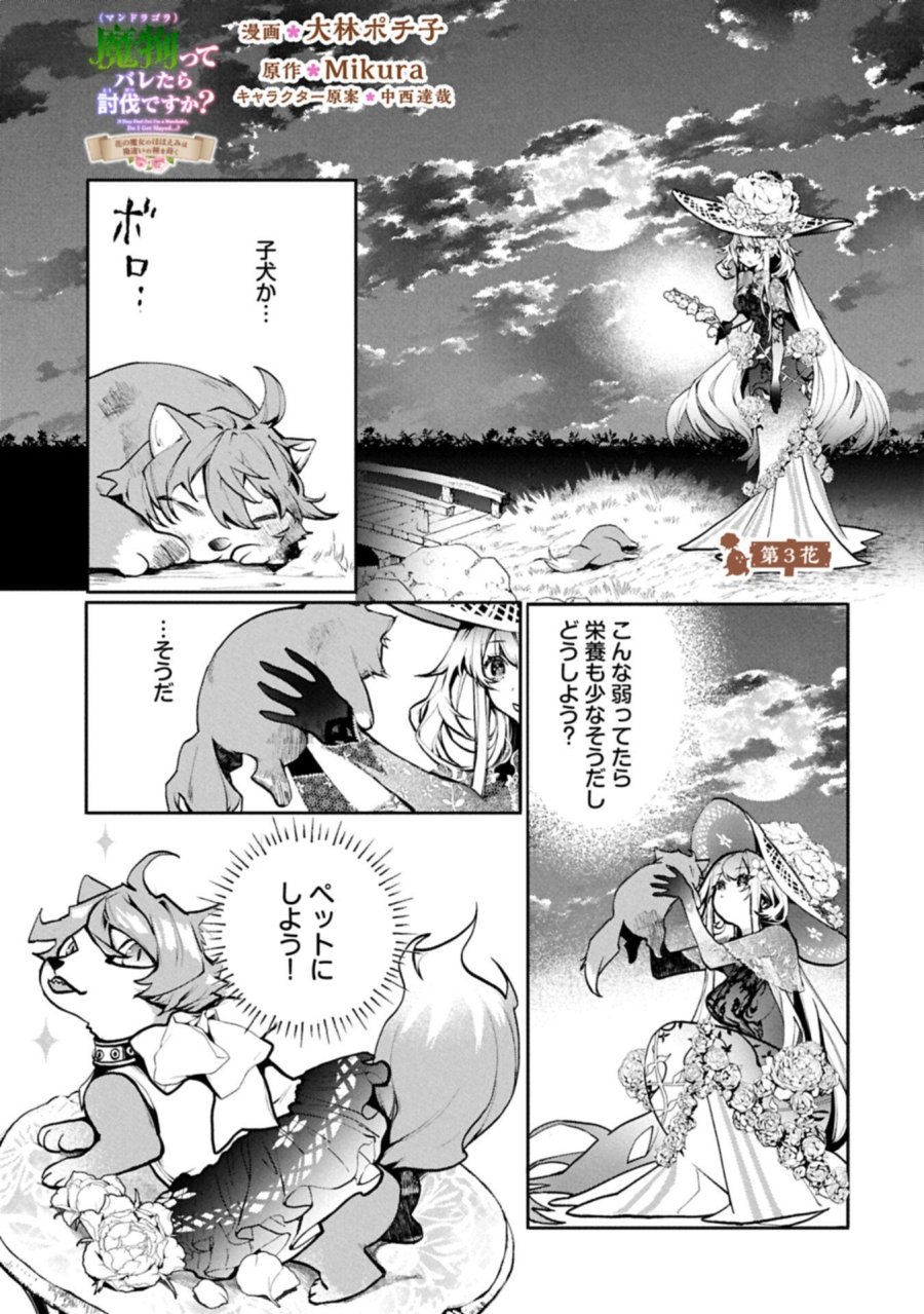 魔物(マンドラゴラ)ってバレたら討伐ですか? ～花の魔女のほほえみは勘違いの種を蒔く～ 第3.1話 - Page 1