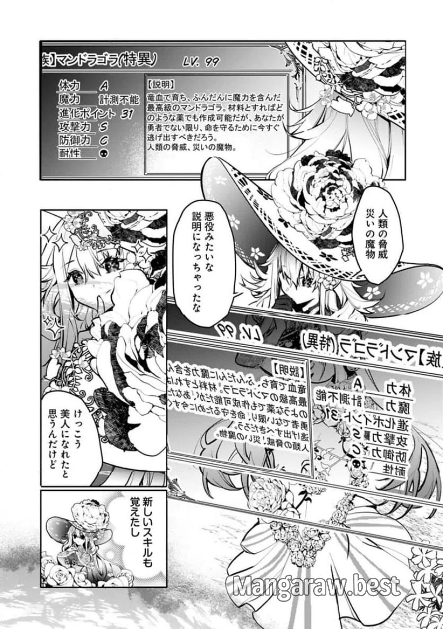 魔物(マンドラゴラ)ってバレたら討伐ですか? ～花の魔女のほほえみは勘違いの種を蒔く～ 第2.1話 - Page 13