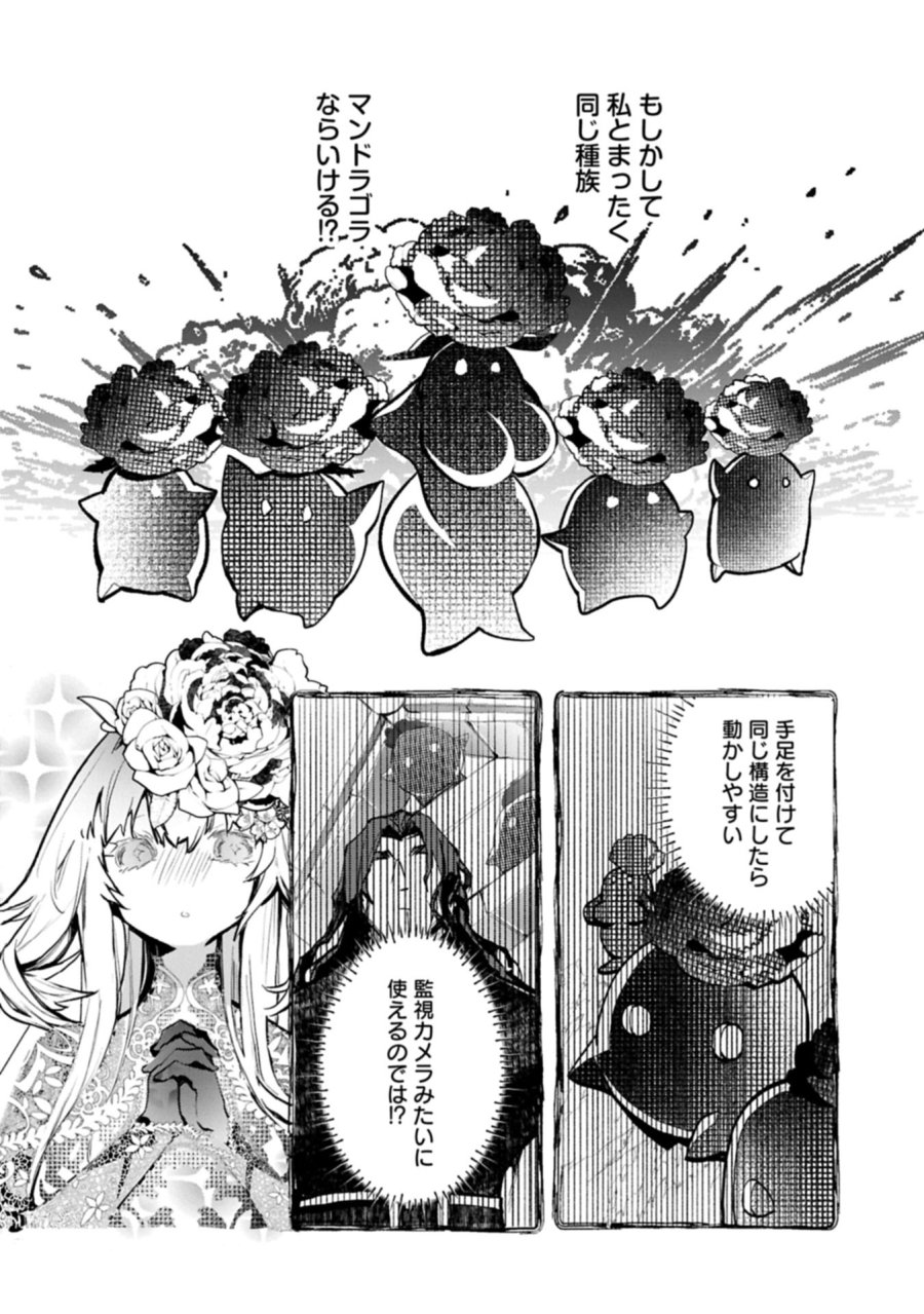 魔物(マンドラゴラ)ってバレたら討伐ですか? ～花の魔女のほほえみは勘違いの種を蒔く～ 第5.2話 - Page 10