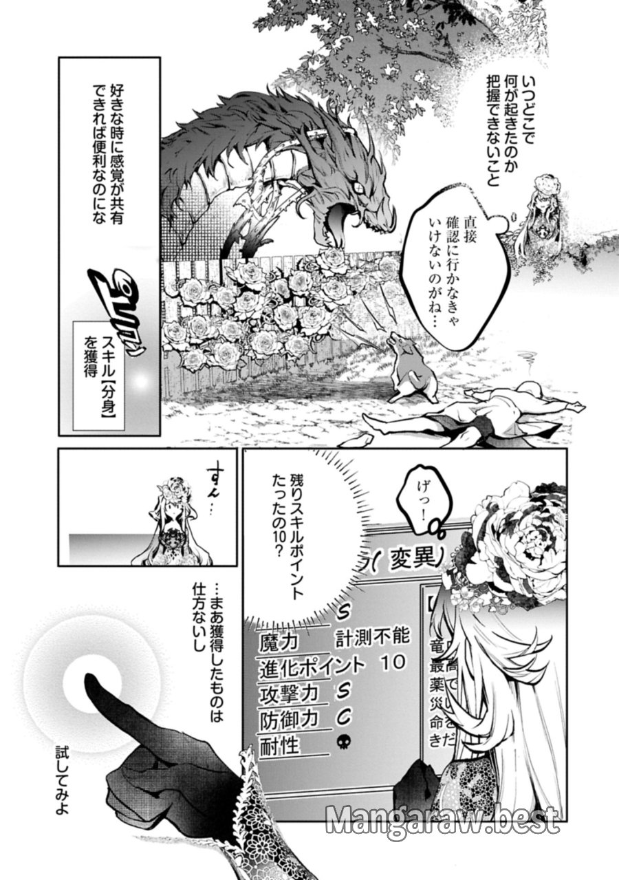魔物(マンドラゴラ)ってバレたら討伐ですか? ～花の魔女のほほえみは勘違いの種を蒔く～ 第5.2話 - Page 7