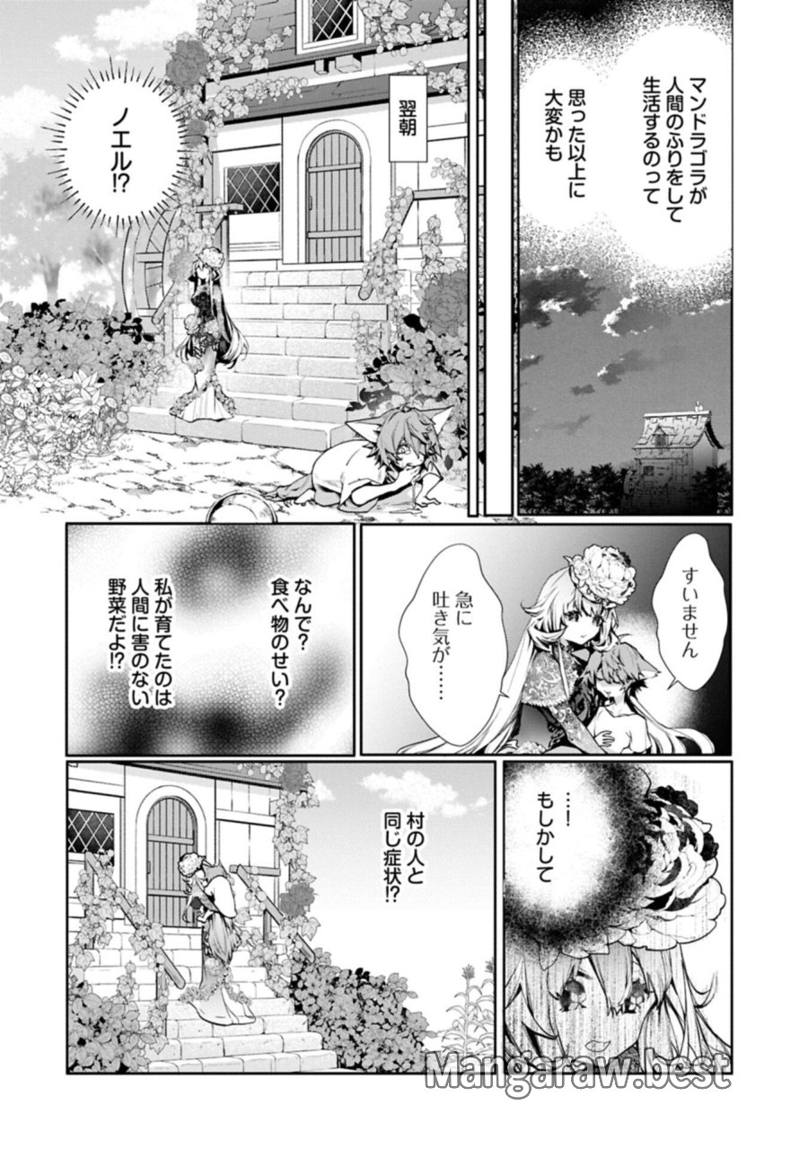 魔物(マンドラゴラ)ってバレたら討伐ですか? ～花の魔女のほほえみは勘違いの種を蒔く～ 第5.1話 - Page 8