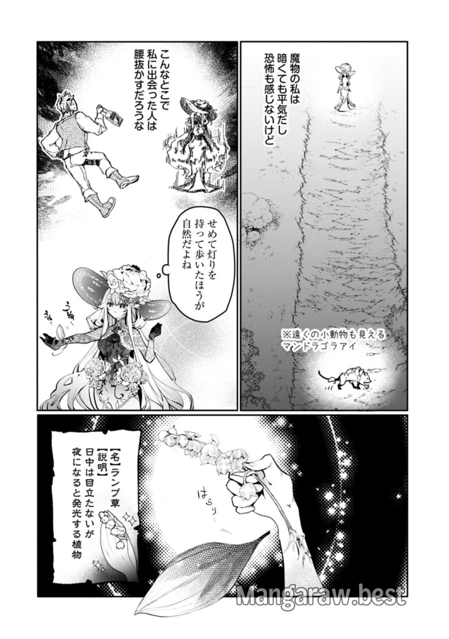 魔物(マンドラゴラ)ってバレたら討伐ですか? ～花の魔女のほほえみは勘違いの種を蒔く～ 第2.2話 - Page 18