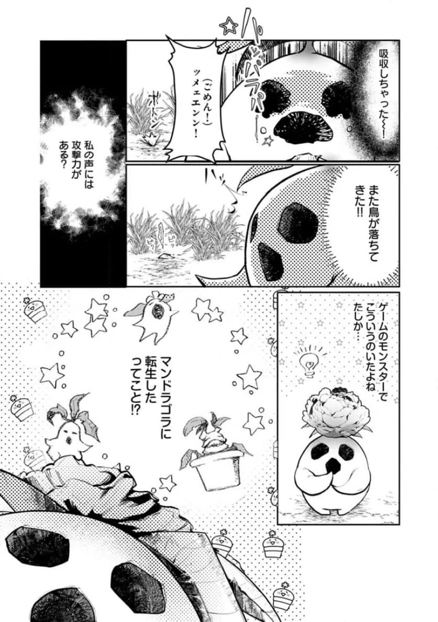魔物(マンドラゴラ)ってバレたら討伐ですか? ～花の魔女のほほえみは勘違いの種を蒔く～ 第1話 - Page 13