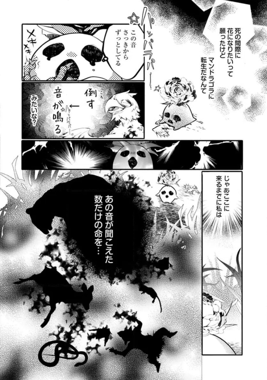 魔物(マンドラゴラ)ってバレたら討伐ですか? ～花の魔女のほほえみは勘違いの種を蒔く～ 第1話 - Page 14