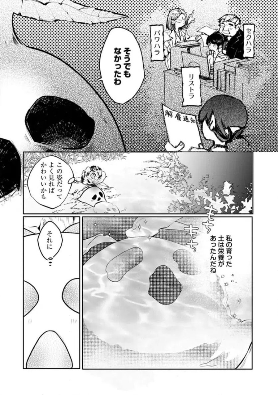 魔物(マンドラゴラ)ってバレたら討伐ですか? ～花の魔女のほほえみは勘違いの種を蒔く～ 第1話 - Page 16