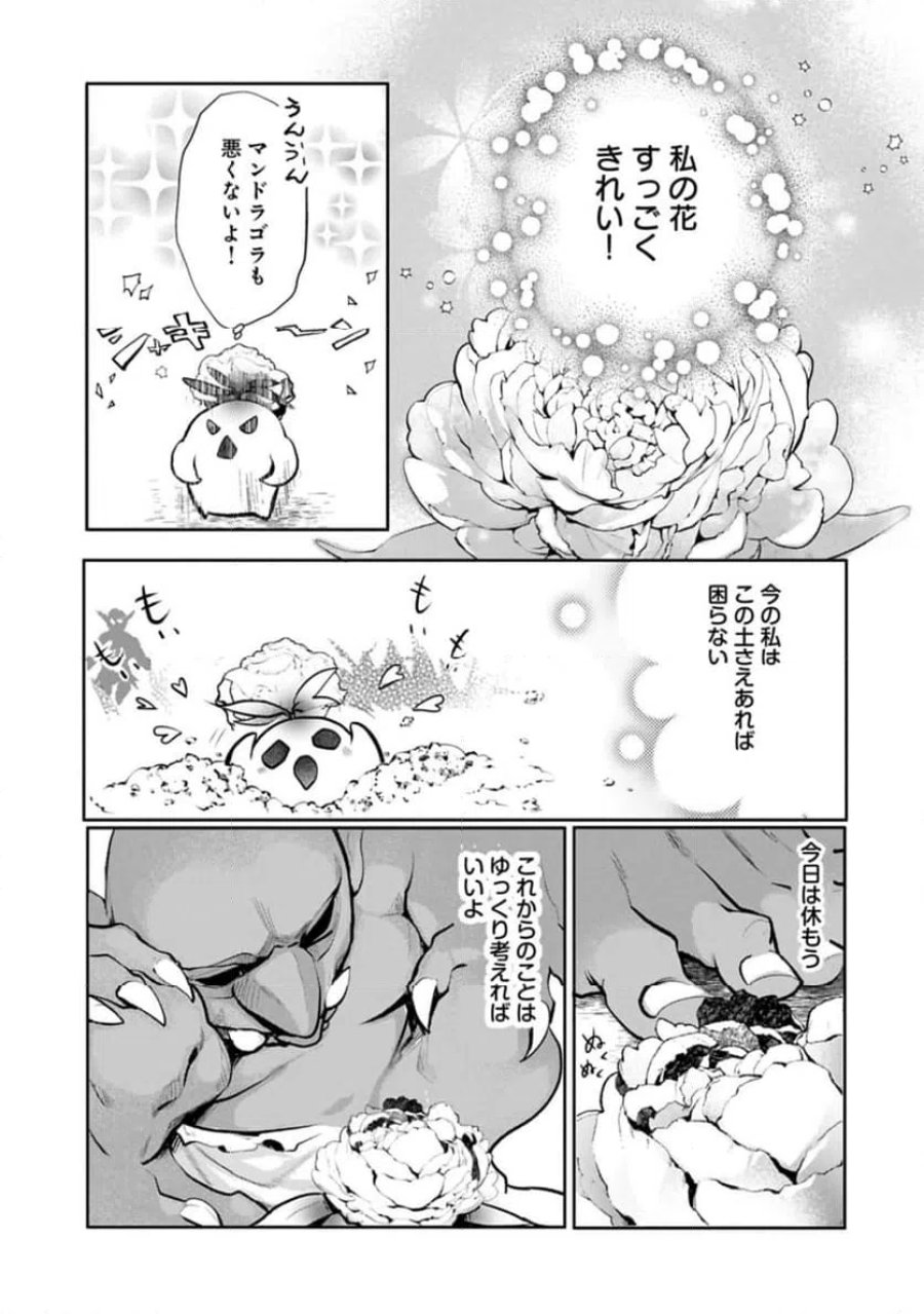 魔物(マンドラゴラ)ってバレたら討伐ですか? ～花の魔女のほほえみは勘違いの種を蒔く～ 第1話 - Page 17