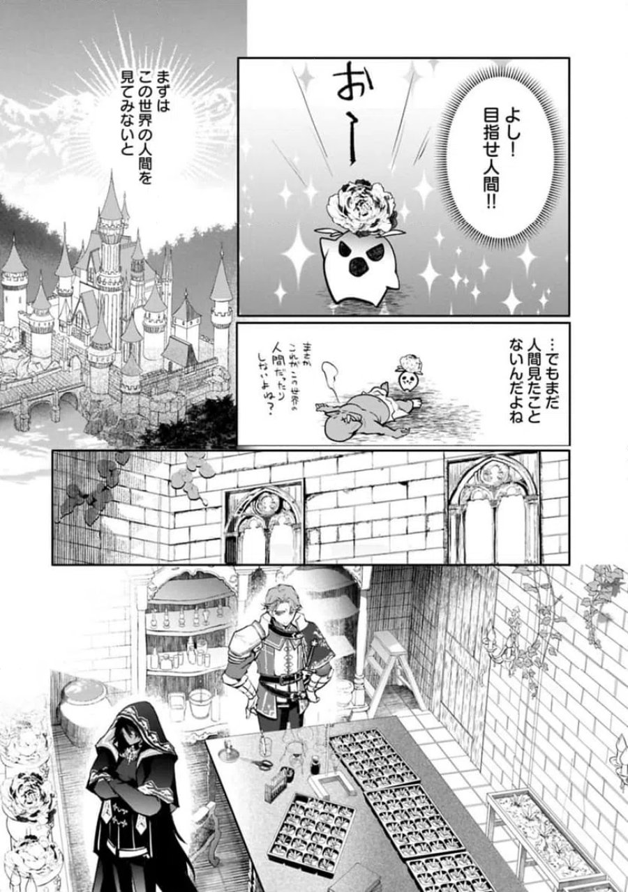 魔物(マンドラゴラ)ってバレたら討伐ですか? ～花の魔女のほほえみは勘違いの種を蒔く～ 第1話 - Page 22
