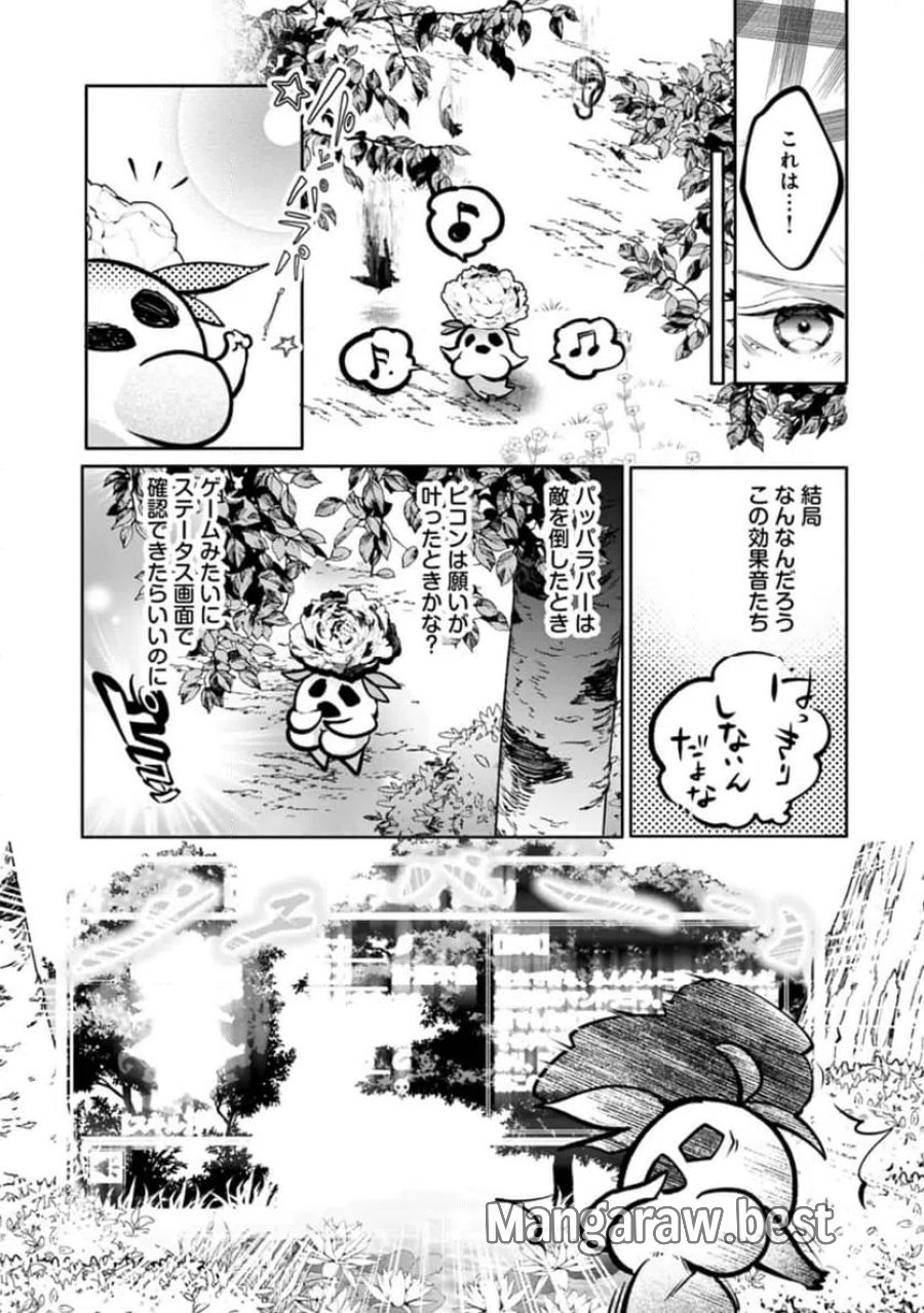 魔物(マンドラゴラ)ってバレたら討伐ですか? ～花の魔女のほほえみは勘違いの種を蒔く～ 第1話 - Page 33