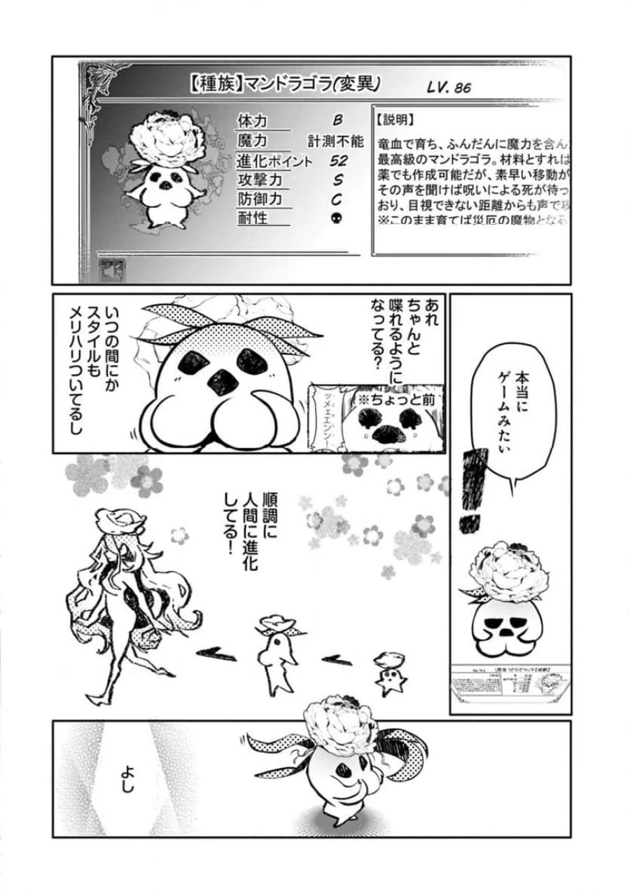 魔物(マンドラゴラ)ってバレたら討伐ですか? ～花の魔女のほほえみは勘違いの種を蒔く～ 第1話 - Page 34