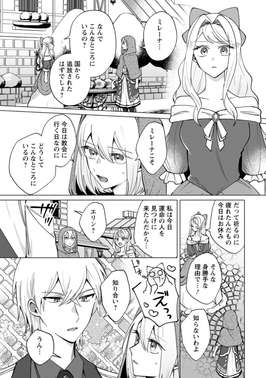 捨てられ聖女のもふもふ保護活動〜天才魔法使いと幻獣たちに愛されて幸せになります〜 第11.3話 - Page 2