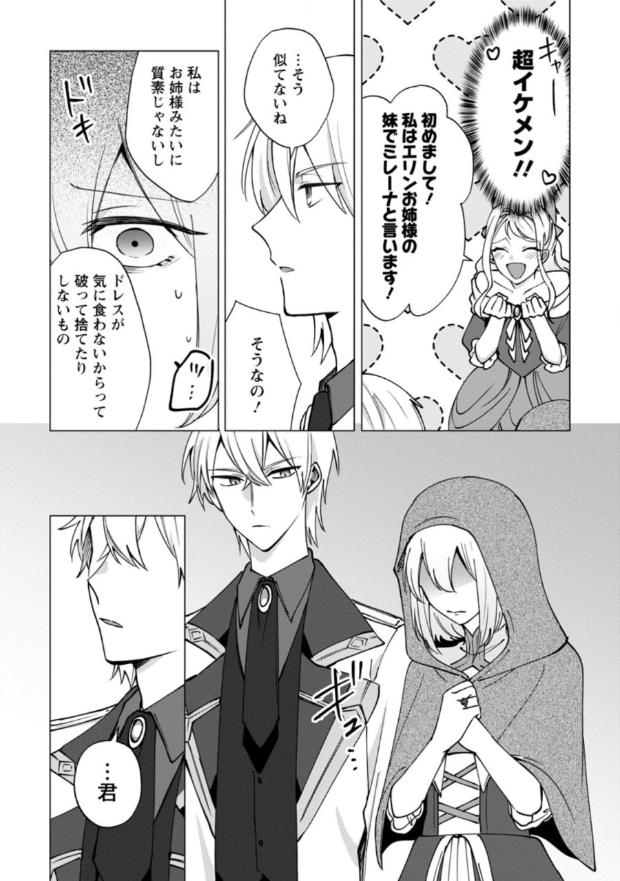 捨てられ聖女のもふもふ保護活動〜天才魔法使いと幻獣たちに愛されて幸せになります〜 第11.3話 - Page 3