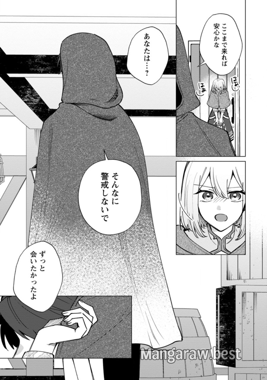 捨てられ聖女のもふもふ保護活動〜天才魔法使いと幻獣たちに愛されて幸せになります〜 第11.3話 - Page 9