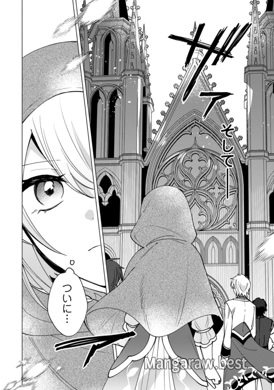 捨てられ聖女のもふもふ保護活動〜天才魔法使いと幻獣たちに愛されて幸せになります〜 第12.1話 - Page 10