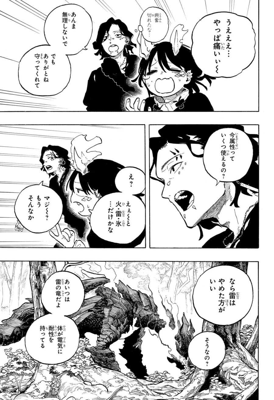 ルリドラゴン 第48話 - Page 13