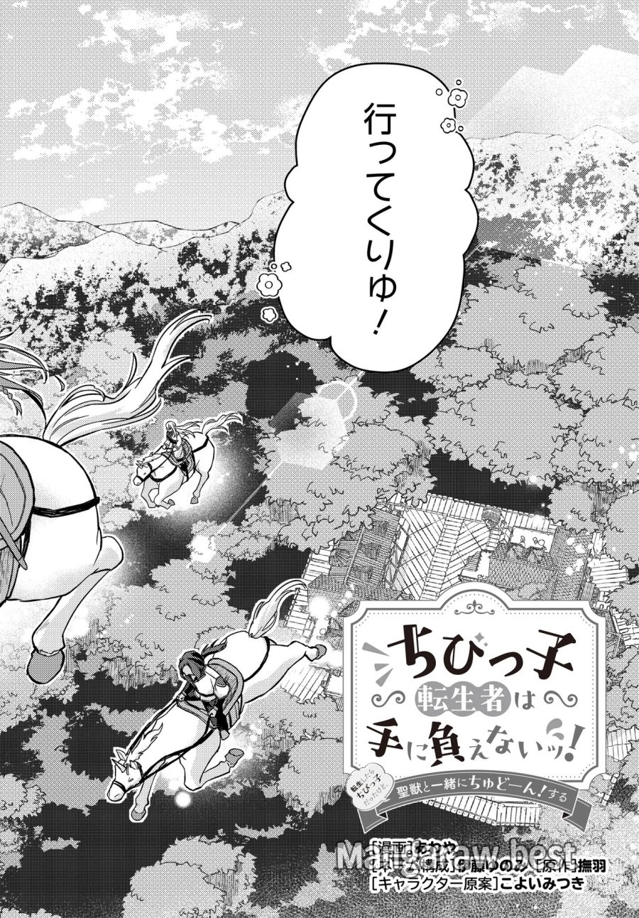 ちびっ子転生者は手に負えないッ!～転生したらちびっ子だったけど、聖獣と一緒にちゅどーん!する～ 第3話 - Trang 2