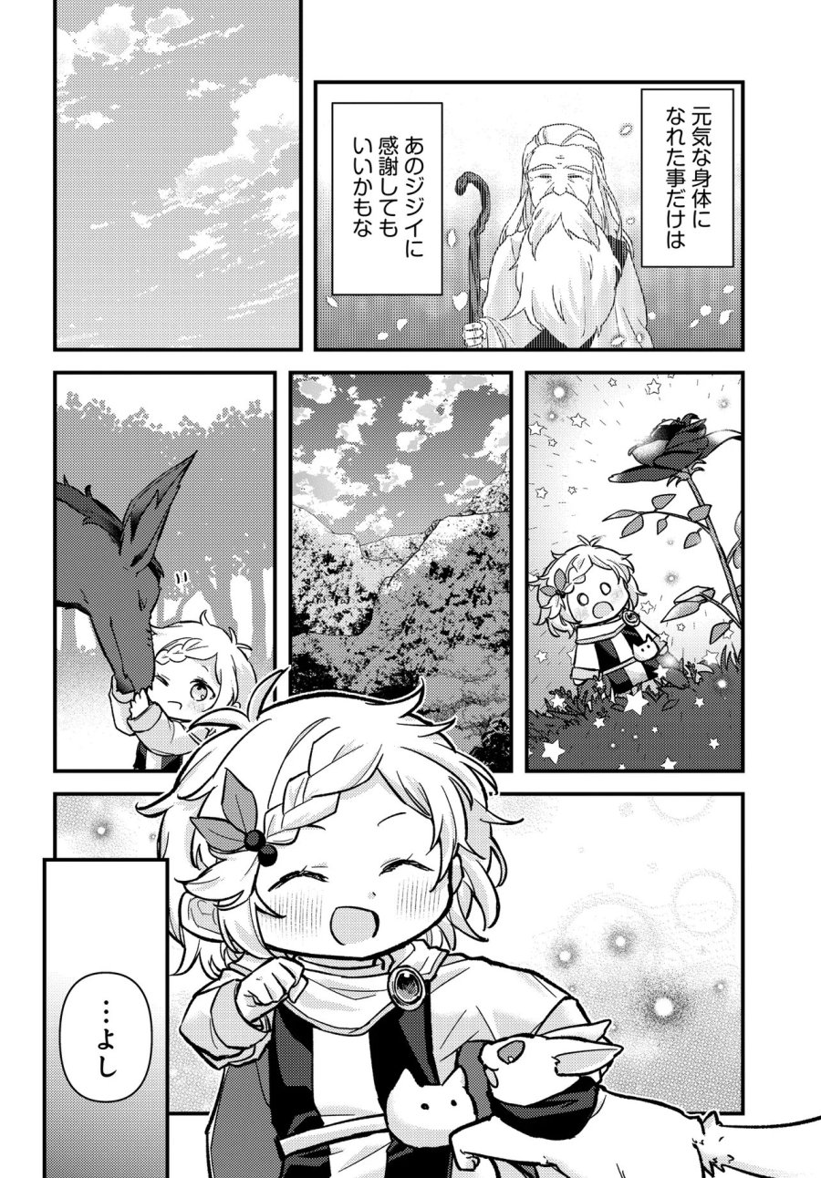 ちびっ子転生者は手に負えないッ!～転生したらちびっ子だったけど、聖獣と一緒にちゅどーん!する～ 第3話 - Trang 6