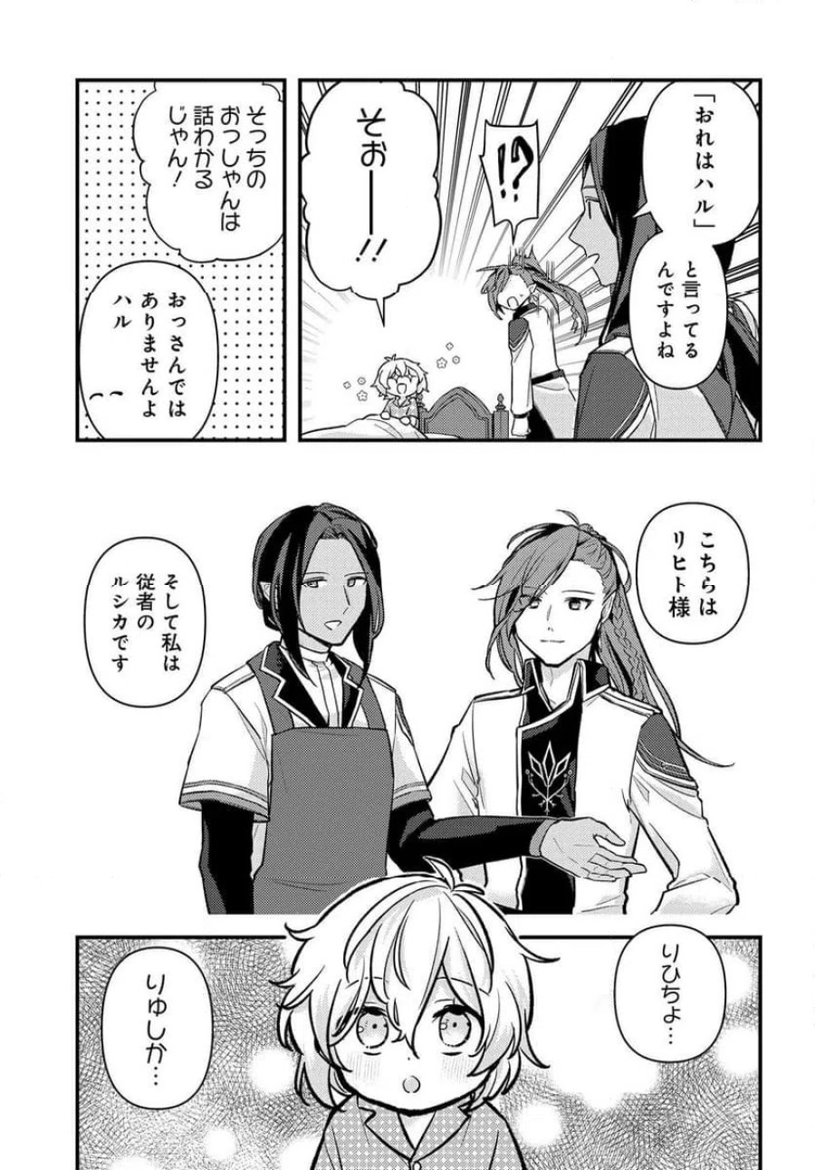 ちびっ子転生者は手に負えないッ!～転生したらちびっ子だったけど、聖獣と一緒にちゅどーん!する～ 第1話 - Page 17