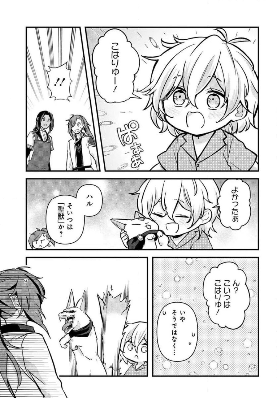 ちびっ子転生者は手に負えないッ!～転生したらちびっ子だったけど、聖獣と一緒にちゅどーん!する～ 第1話 - Page 19