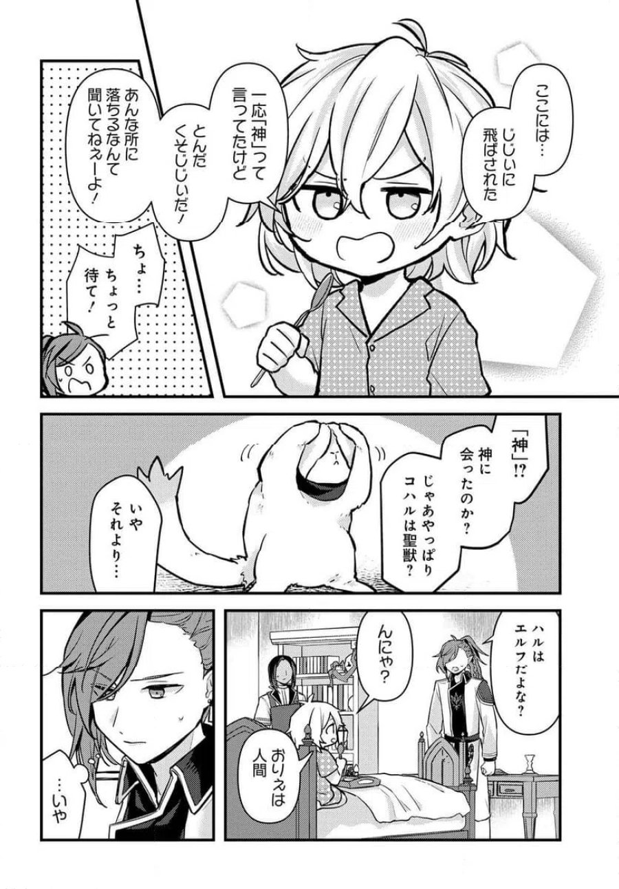 ちびっ子転生者は手に負えないッ!～転生したらちびっ子だったけど、聖獣と一緒にちゅどーん!する～ 第1話 - Page 26