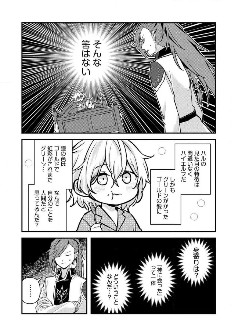ちびっ子転生者は手に負えないッ!～転生したらちびっ子だったけど、聖獣と一緒にちゅどーん!する～ 第1話 - Page 27