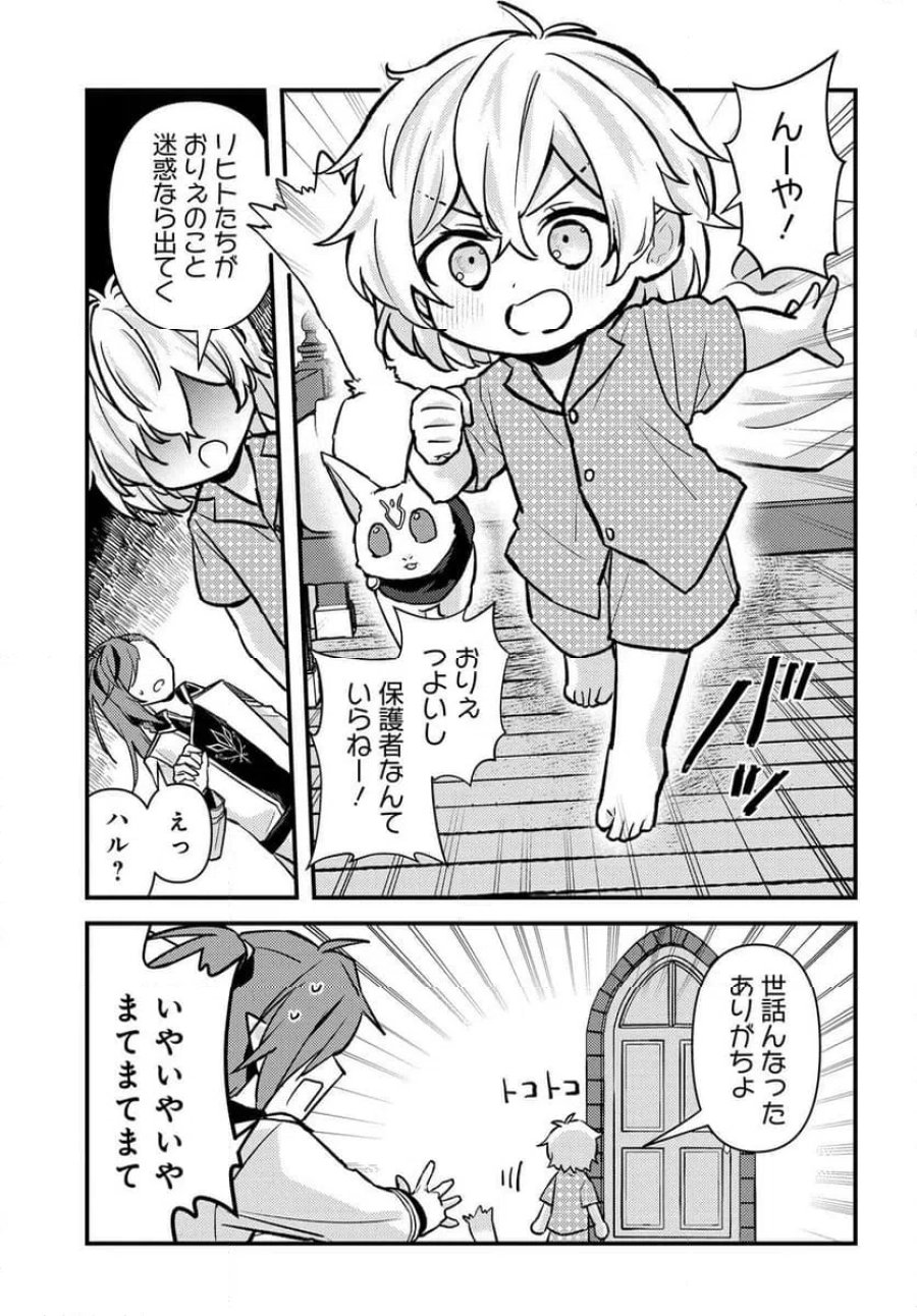 ちびっ子転生者は手に負えないッ!～転生したらちびっ子だったけど、聖獣と一緒にちゅどーん!する～ 第1話 - Page 29
