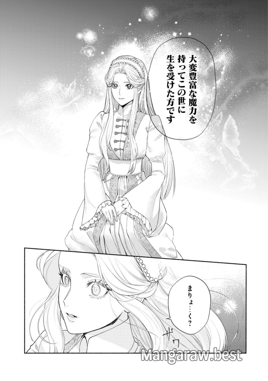 二度目の人生では、お飾り王妃になりません! 〜陰謀により全てを失った王妃、今生では真の力に目覚め幸せを掴みます〜 第10話 - Trang 11